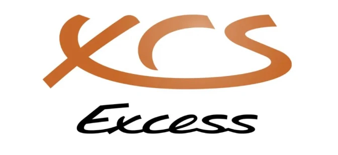 Excess logo