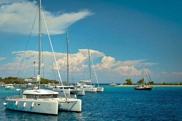 There are all kinds of yachts parked at sea