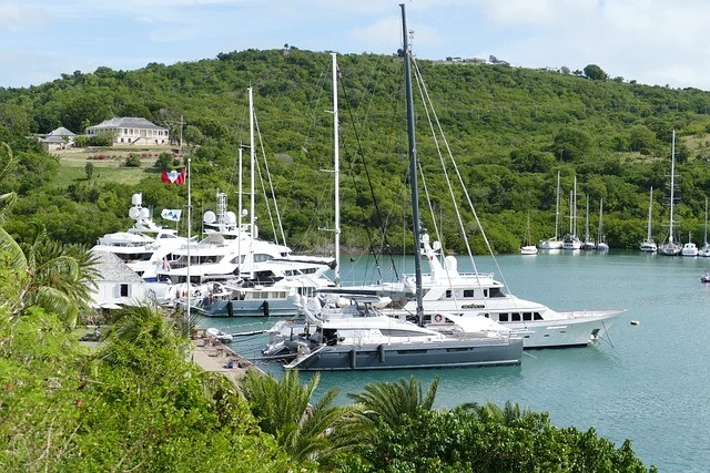 Yachts on the water